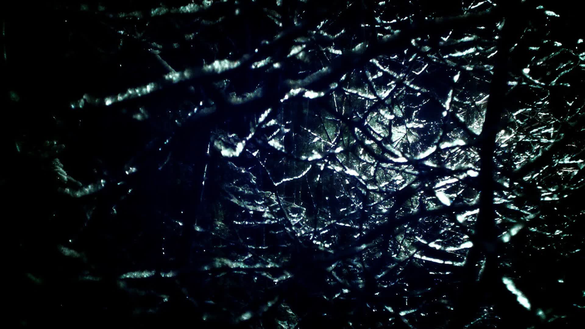 世界体能训练示范赛：功能性训练纳入赛事评价体系，体能训练比赛